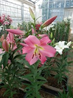 [5647 VH77 Garceta No01.JPG]